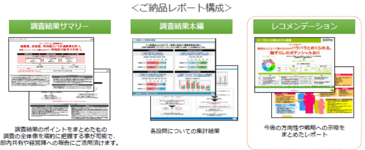 CS調査納品レポート