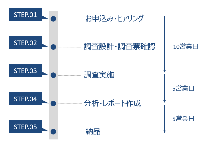 選挙区調査実施の流れ