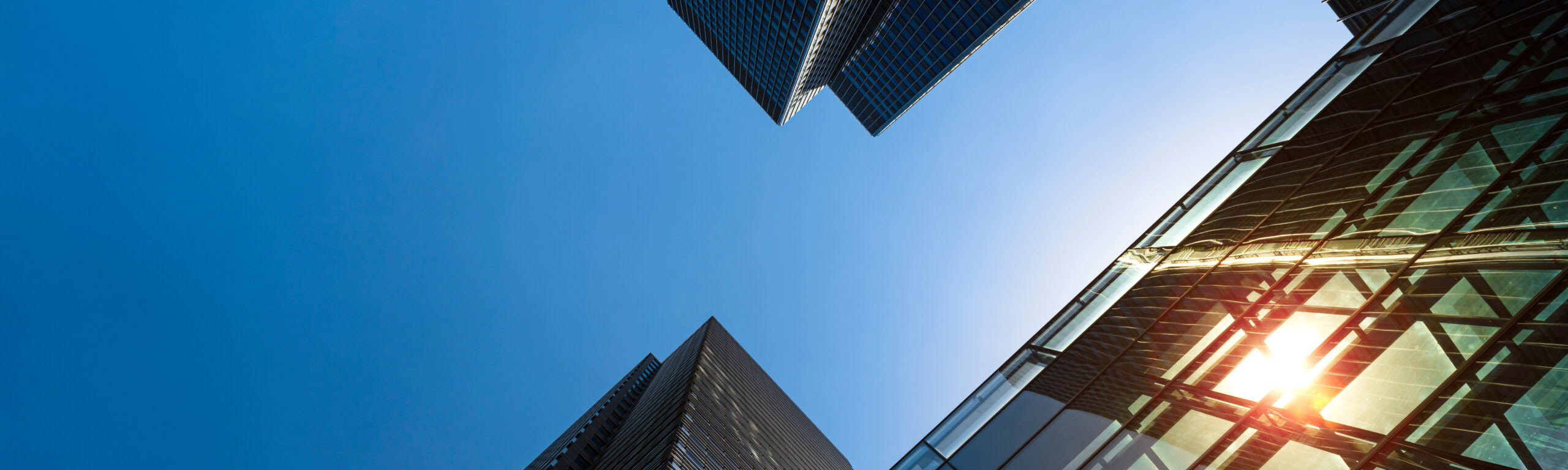 【IT企業の課題解決事例】経営層が抱える課題把握のためのCS調査の運営・分析